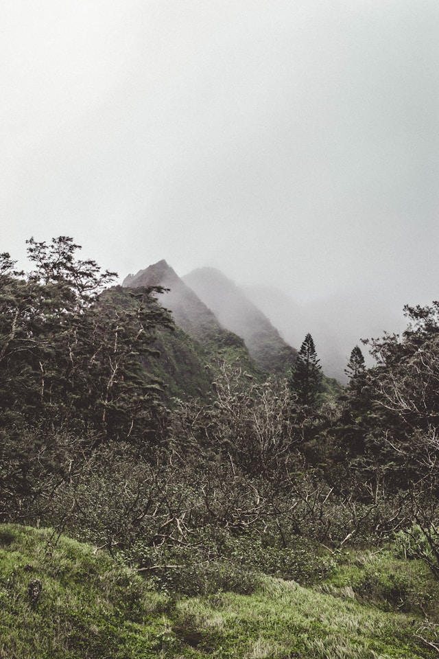 confidence that sticks